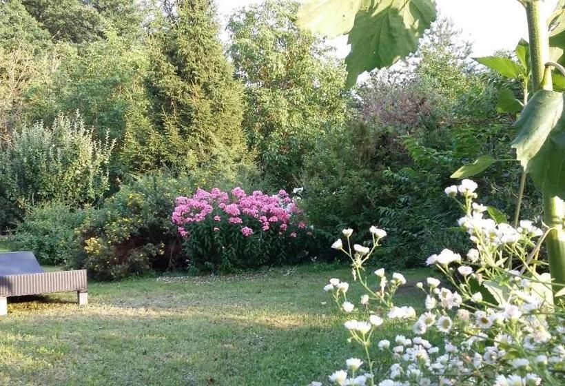 Bed and Breakfast Stara Papiernia Zielony Lasek