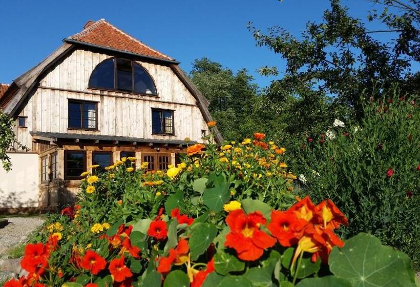 Bed and Breakfast Stara Papiernia Zielony Lasek