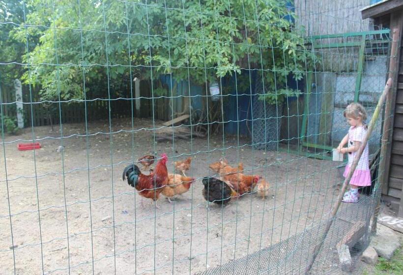 בית מלון כפרי Agroturystyka Kociewiak