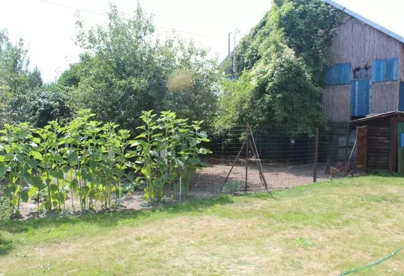 ホテル Agroturystyka Kociewiak
