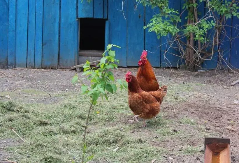 ホテル Agroturystyka Kociewiak