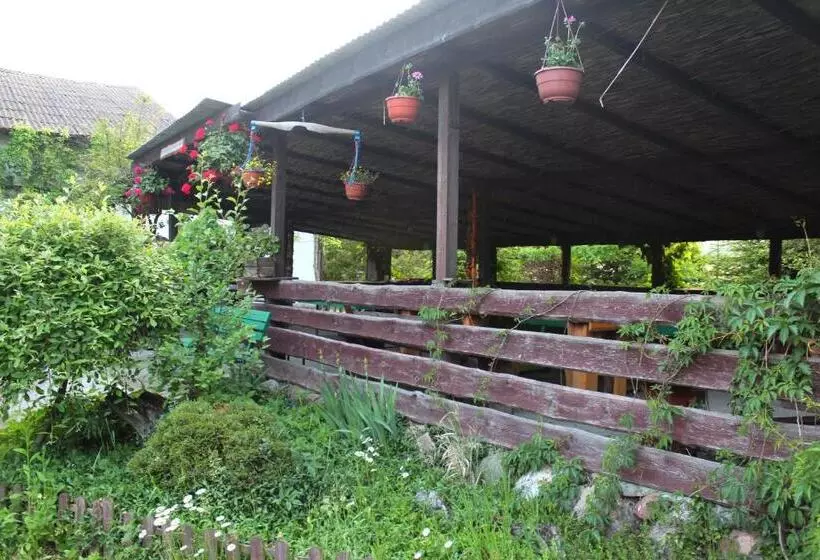 ホテル Agroturystyka Kociewiak