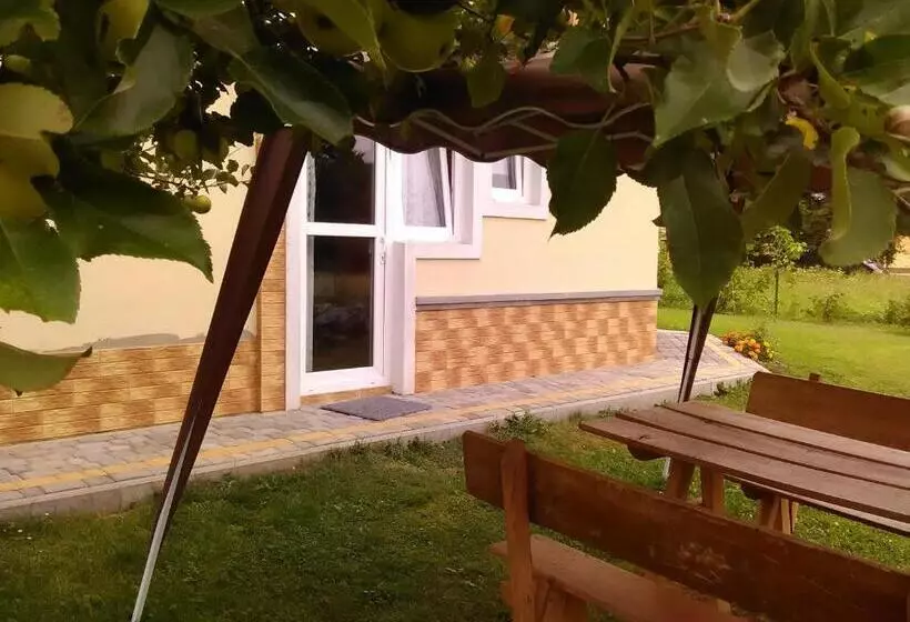 ホテル Kwatera Studio Hoczew