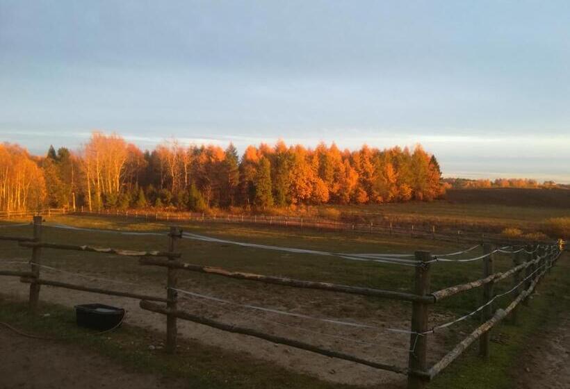 בית מלון כפרי Pensjonat Przy Stajni