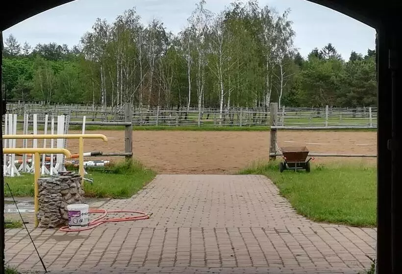 ホテル Pensjonat Przy Stajni