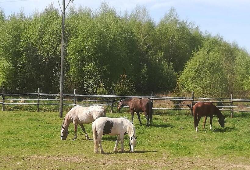 בית מלון כפרי Pensjonat Przy Stajni