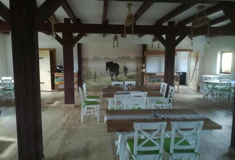 בית מלון כפרי Pensjonat Przy Stajni