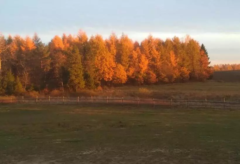 ホテル Pensjonat Przy Stajni