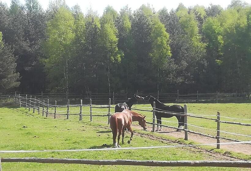 בית מלון כפרי Pensjonat Przy Stajni