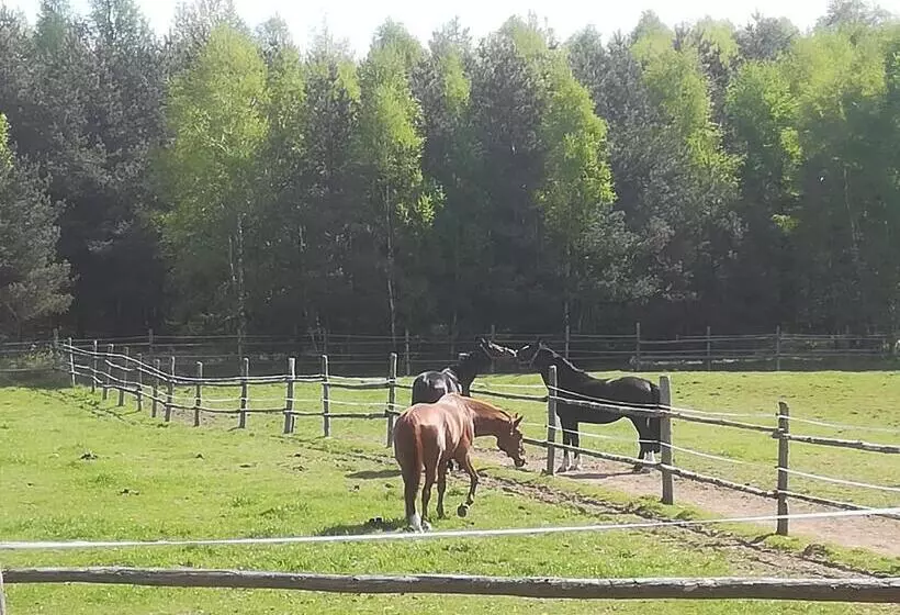 ホテル Pensjonat Przy Stajni