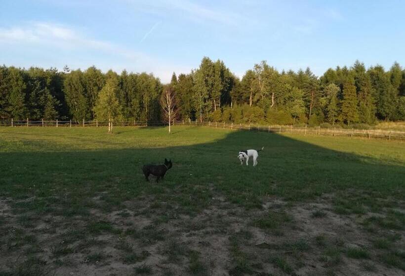 בית מלון כפרי Pensjonat Przy Stajni