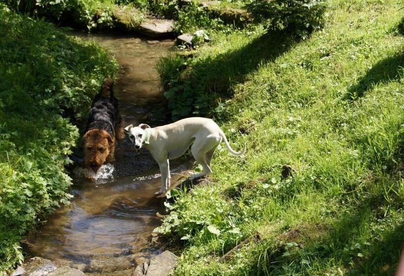 בית מלון כפרי U Eskulapa