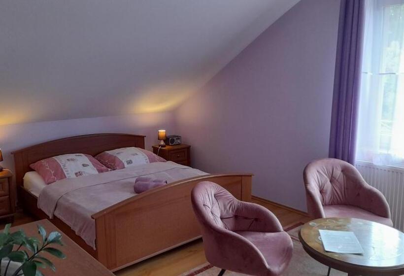 בית מלון כפרי U Eskulapa