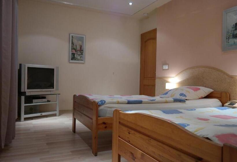 בית מלון כפרי Villamirage