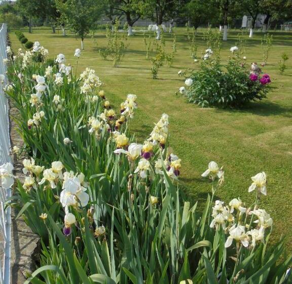 بنسيون Agroturystyka Krysia Pilszcz