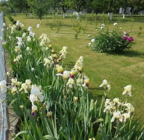 ペンション Agroturystyka Krysia Pilszcz