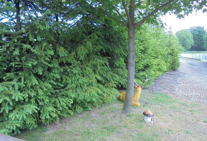 بنسيون Agroturystyka Krysia Pilszcz