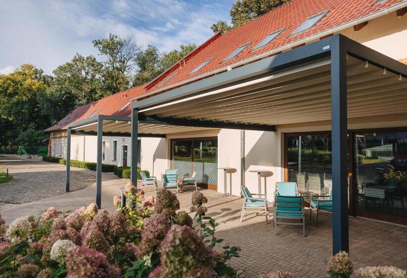 بنسيون Dwór Kolesin