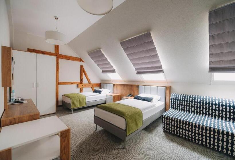 بنسيون Dwór Kolesin