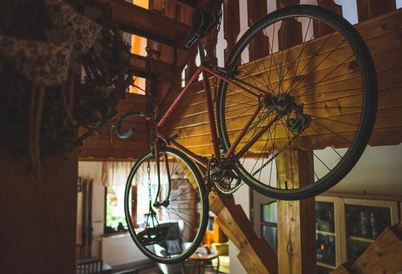 Пансион Jałowcówka Centrum Aktywności Psychoruchowej