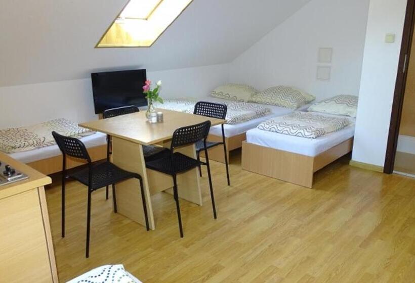 펜션 Noclegi Marek I Karolina