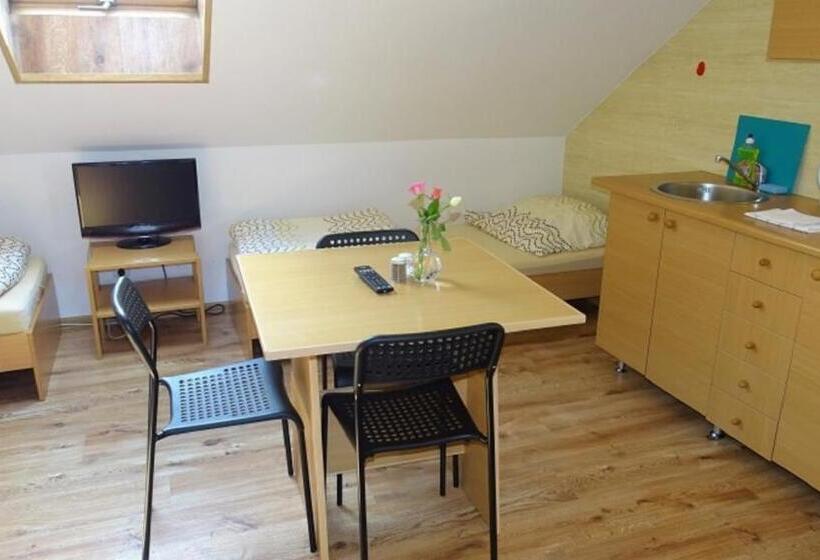 펜션 Noclegi Marek I Karolina