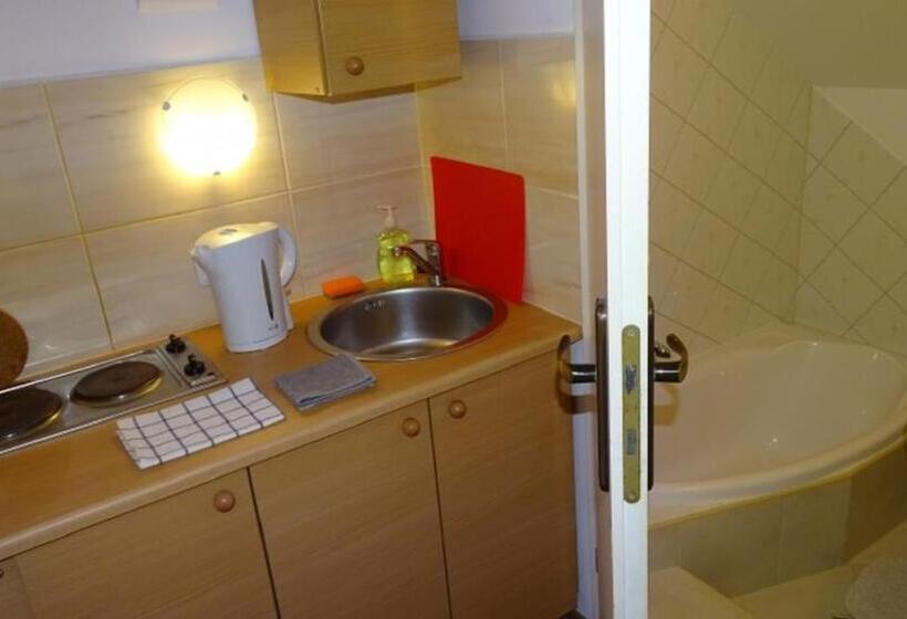 펜션 Noclegi Marek I Karolina