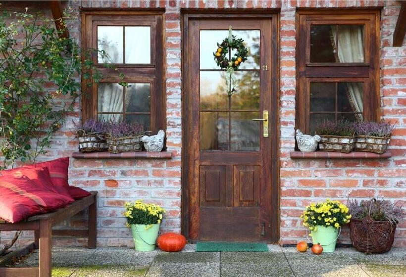 פנסיון Oasis Resort & Spa