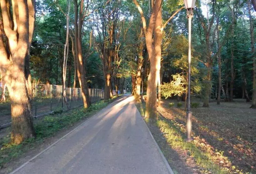ペンション Villa Selavi