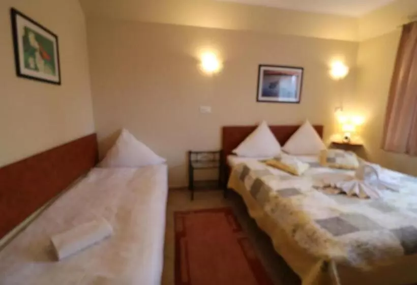 ペンション Villa Sorento