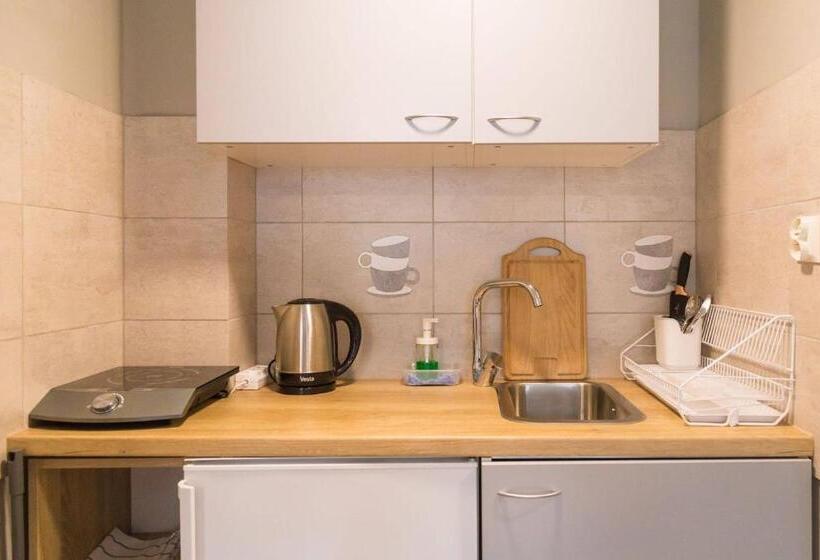 ペンション Willa Aksamit