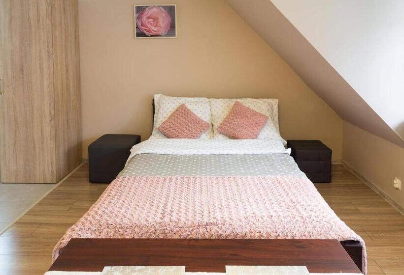 ペンション Willa Aksamit