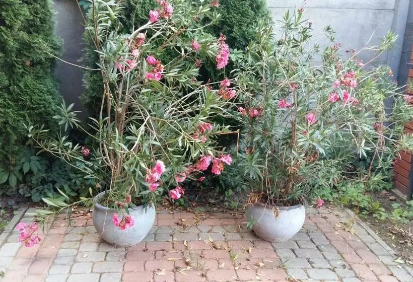 ベッドアンドブレックファースト Dom Gościnny 8 Km Od Suntago, Deepspot