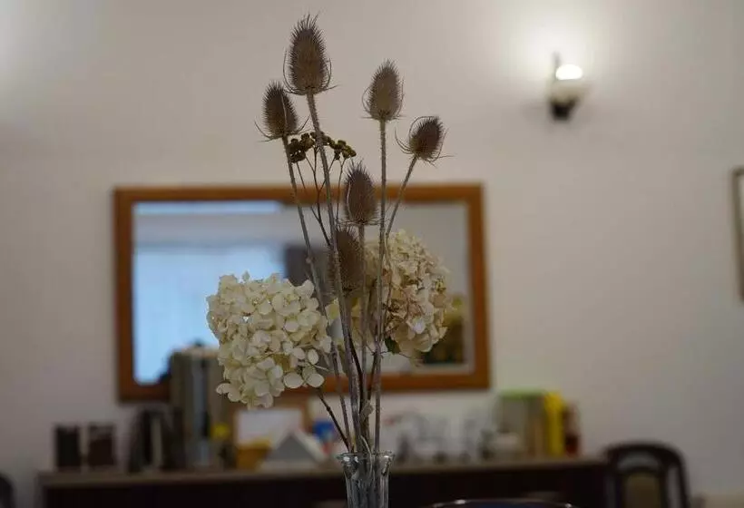 ベッドアンドブレックファースト Dom Gościnny 8 Km Od Suntago, Deepspot