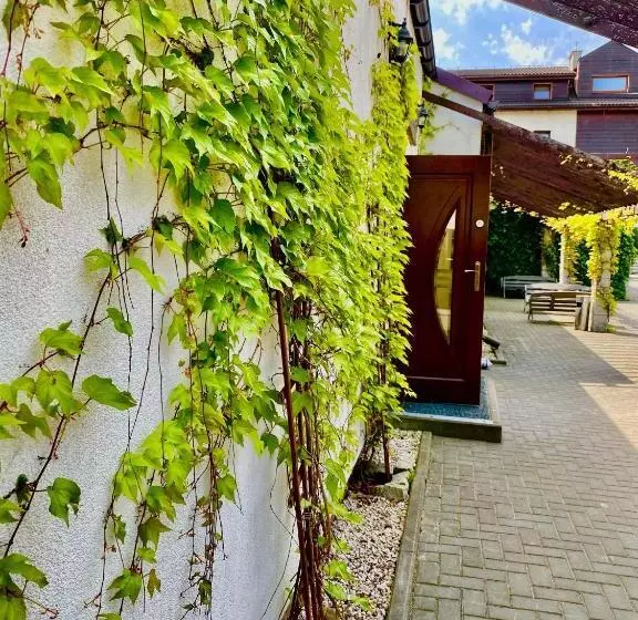 ベッドアンドブレックファースト Old Tree Home & Restaurant