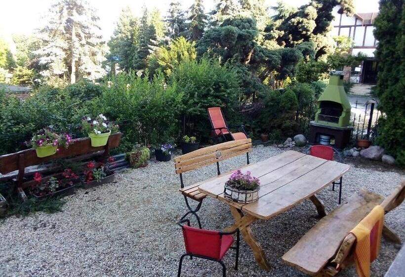 تختخواب و صبحانه Villa Minerva