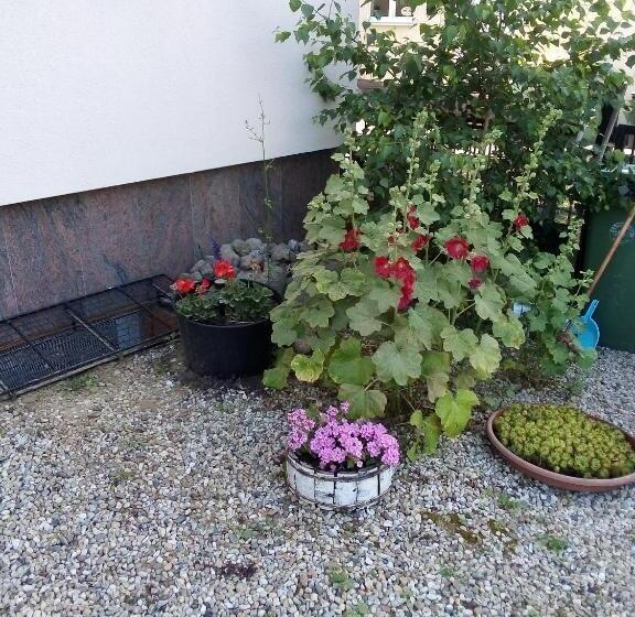 تختخواب و صبحانه Villa Minerva