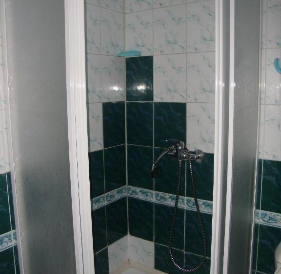 مبيت وإفطار Willa Millennium