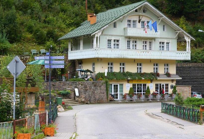 مبيت وإفطار Willa Millennium