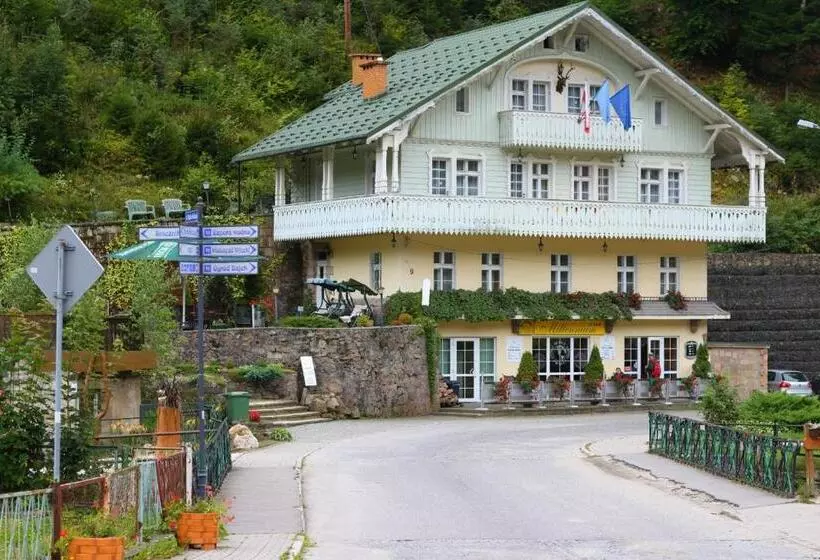 Aamiaismajoitus (B&B) Willa Millennium