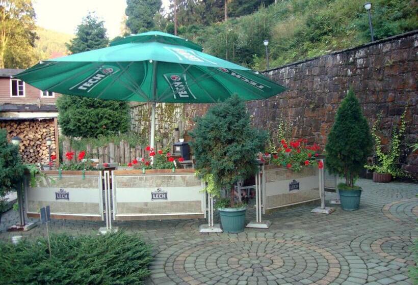 مبيت وإفطار Willa Millennium