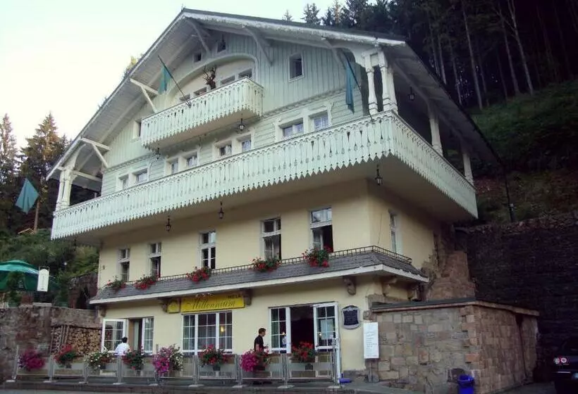 Aamiaismajoitus (B&B) Willa Millennium