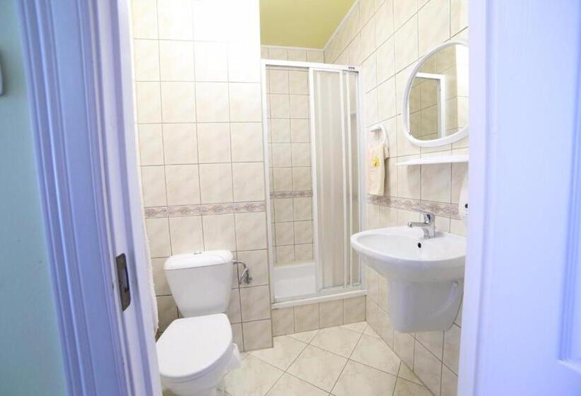 مبيت وإفطار Willa Millennium