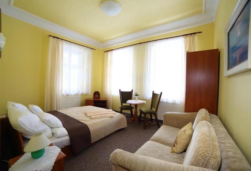 مبيت وإفطار Willa Millennium