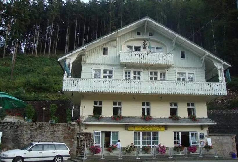 Aamiaismajoitus (B&B) Willa Millennium