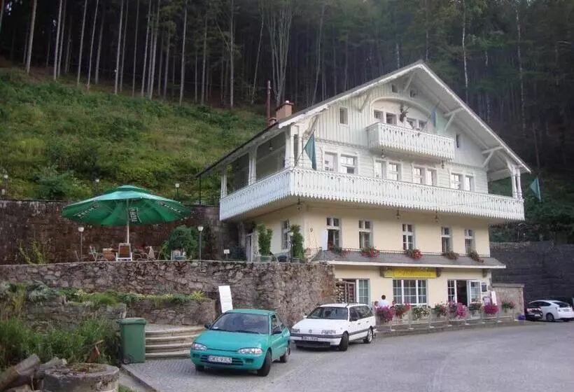 Aamiaismajoitus (B&B) Willa Millennium