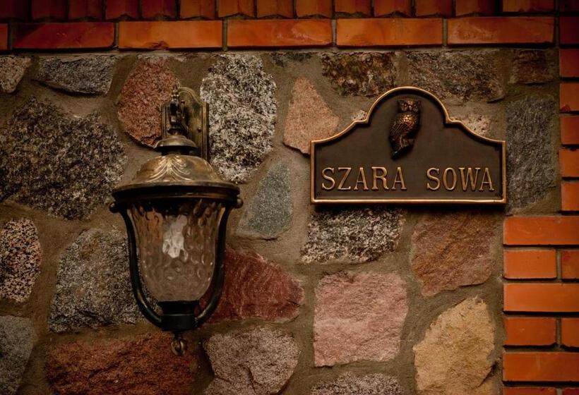 ベッドアンドブレックファースト Willa Szara Sowa