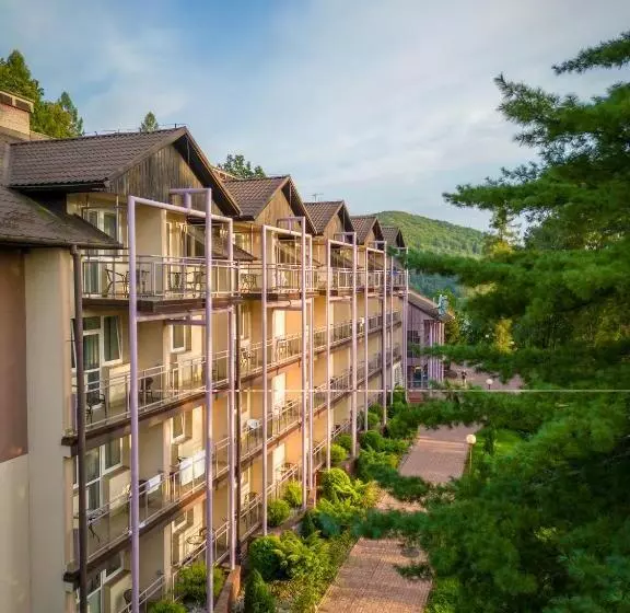 هتل Solina Resort & Spa