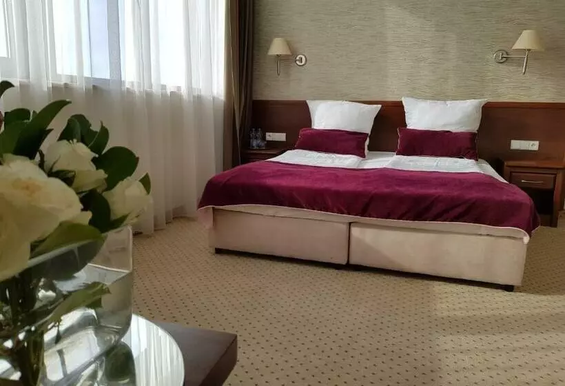 ホテル Starzyński