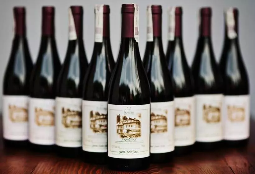 ホテル Villa Bohema